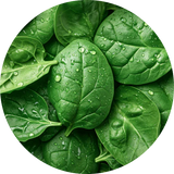 SUPERFOODS & GREENS