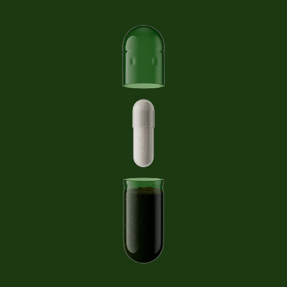 FOCUS BLEND